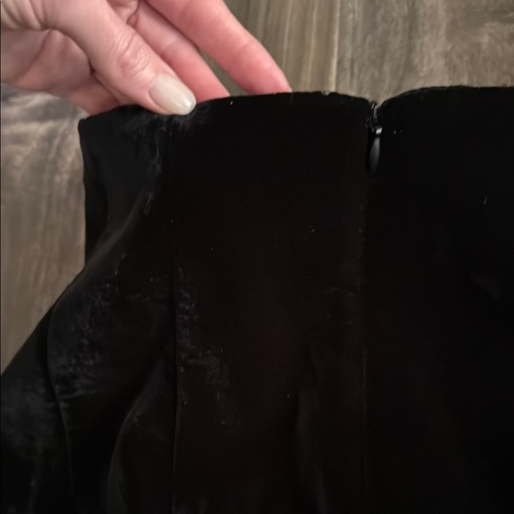 Zara Velvet Skirt - Picture 3 of 5
